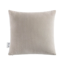 Load image into Gallery viewer, Jacob Dec Pillow