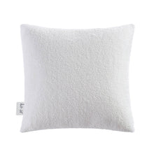 Load image into Gallery viewer, Jacob Dec Pillow